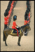 165050 Mounted Irish Guards Officer A4 Photo Print