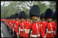 165058 Welsh Guardsmen A4 Photo Print
