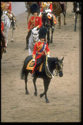 165067 The Prince Of Wales (Prince Charles) A4 Photo Print