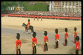 165068 Officers Await The Royal Arrival A4 Photo Print