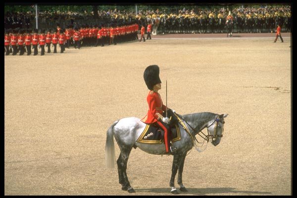 165073 Parade Commanding Officer A4 Photo Print