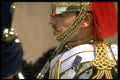 165074 Pioneer Sergeant Blues And Royals A4 Photo Print