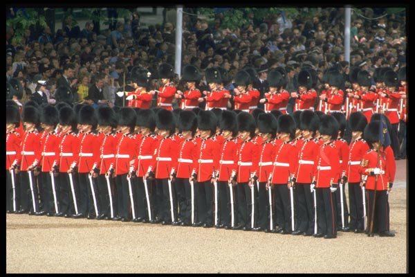 165082 The Queens Guards A4 Photo Print