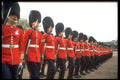 165084 The Long Thin Red Line A4 Photo Print