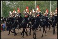 165086 Band Of Blues And Royals A4 Photo Print
