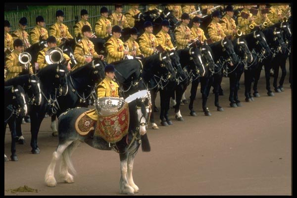 165088 Drummer And Mounted Bands In State Dress A4 Photo Print