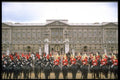 165089 Mounted Bands At Buckingham Palace A4 Photo Print