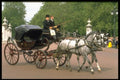 165091 Royal Carriage A4 Photo Print