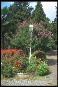 166022 Yildiz Park, Istanbul A4 Photo Print