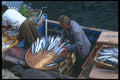 166049 Fishermen, The Bosphorus, Istanbul A4 Photo Print