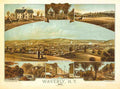 167 Waverly N. Y. 1881 Vintage A4 Photo Print