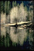 167017 Merced River In Winter A4 Photo Print