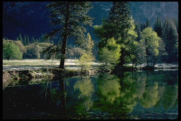 167019 Merced River In Spring A4 Photo Print