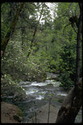 167023 Tenaya Creek In Spring A4 Photo Print