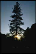 167025 Setting Sun In Valley A4 Photo Print