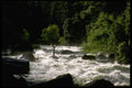 167034 Merced River A4 Photo Print