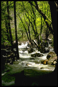 167040 Bridelveil Creek A4 Photo Print