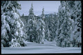 167054 Badger Pass In Winter A4 Photo Print