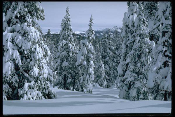 167054 Badger Pass In Winter A4 Photo Print