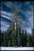 167059 Badger Pass A4 Photo Print