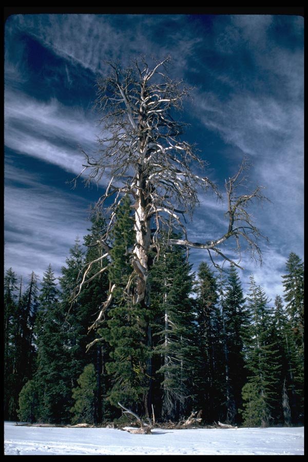 167059 Badger Pass A4 Photo Print