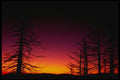 167061 Sunset Glacier Point Road A4 Photo Print