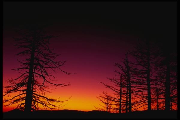 167061 Sunset Glacier Point Road A4 Photo Print