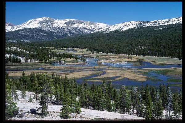 167072 Tuolumne Meadows From Pothole Dome A4 Photo Print