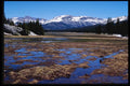 167073 Tuolumne Meadows A4 Photo Print