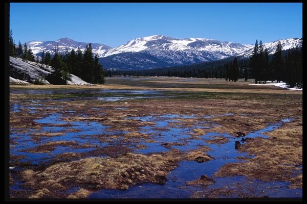 167073 Tuolumne Meadows A4 Photo Print