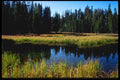 167075 Siesta Lake A4 Photo Print