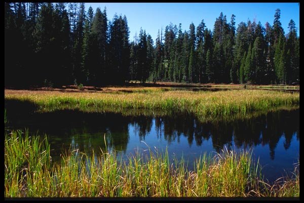 167075 Siesta Lake A4 Photo Print