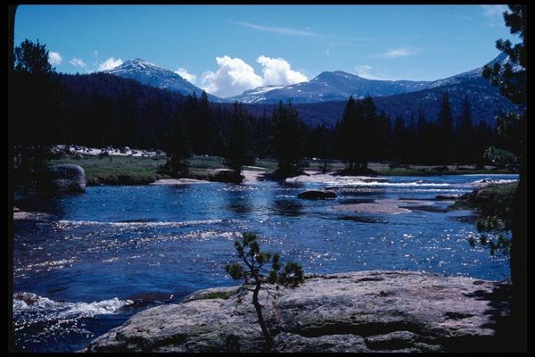 167078 Lyell Fork A4 Photo Print