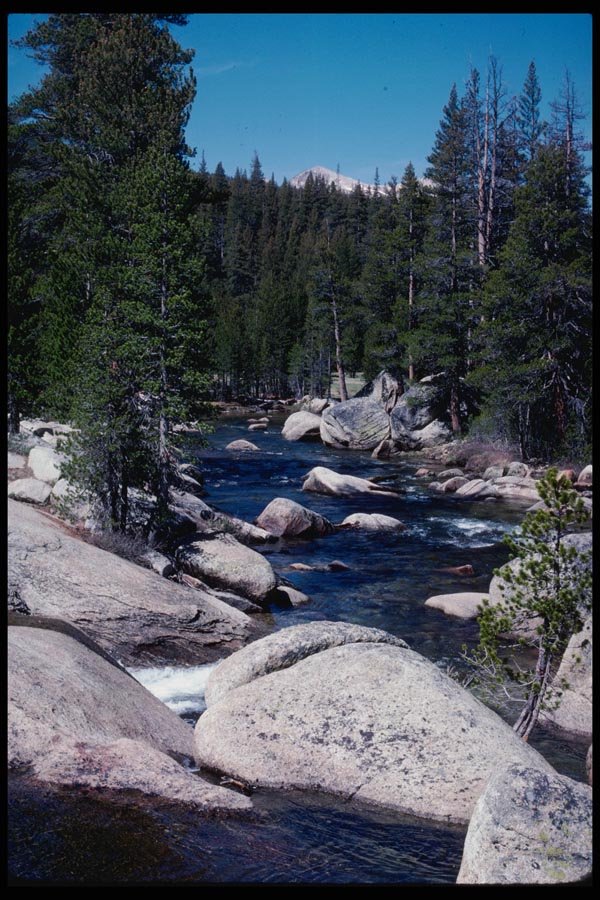 167090 Lyell Fork A4 Photo Print