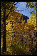 167098 Lee Vining Canyon A4 Photo Print
