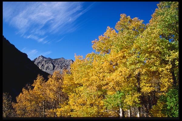 167099 Lundy Canyon A4 Photo Print