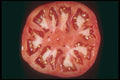 169003 Sliced Tomato A4 Photo Print