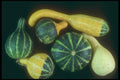 169006 Mini gourds A4 Photo Print