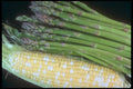 169007 Corny Asparagus A4 Photo Print