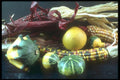169021 Indian Summer A4 Photo Print