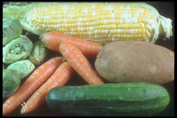169023 Canada Harvest A4 Photo Print