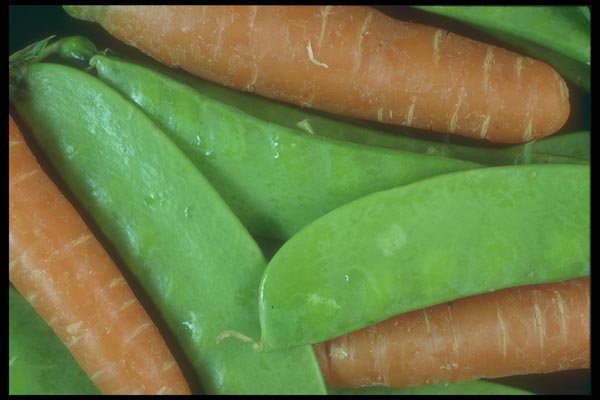 169031 Peas And Carrots A4 Photo Print