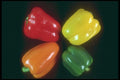 169034 Four Peppers A4 Photo Print