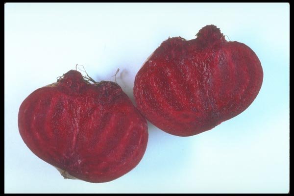 169039 Beets A4 Photo Print