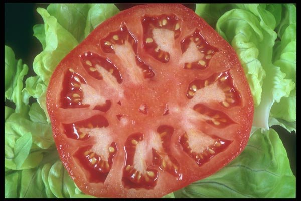 169049 Tomato Salad A4 Photo Print