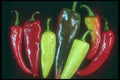 169054 Hot Peppers A4 Photo Print