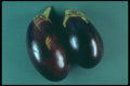 169060 Two Eggplants A4 Photo Print