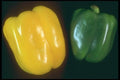 169070 Peppers, Yellow And Green A4 Photo Print