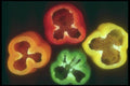 169077 Inside Peppers A4 Photo Print