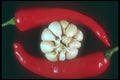169080 Hot Red Garlic A4 Photo Print